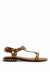 ASH Ciabatta PATSY Marrone S25-PATSY