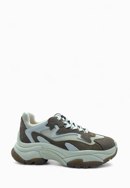ASH ADDICT SNEAKER FANGO