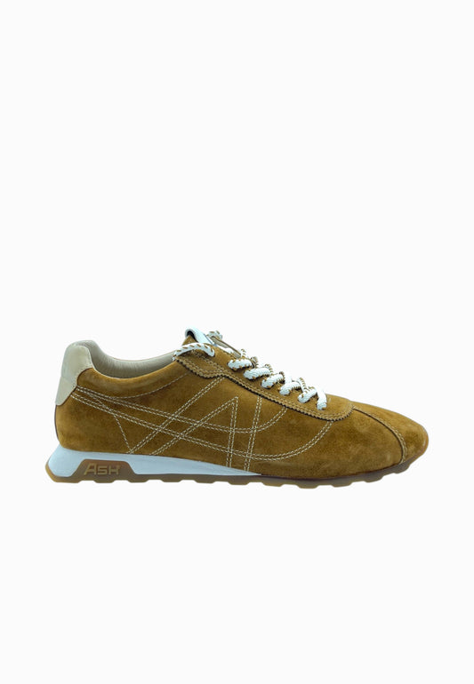 ASH SNEAKER CAMOSCIO CAPPUCCINO