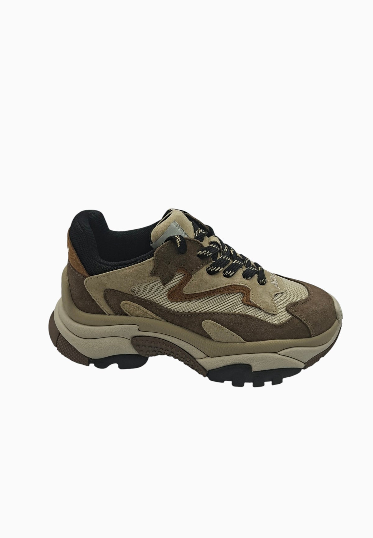 ASH ADDICT SNEAKER CAPPUCCINO