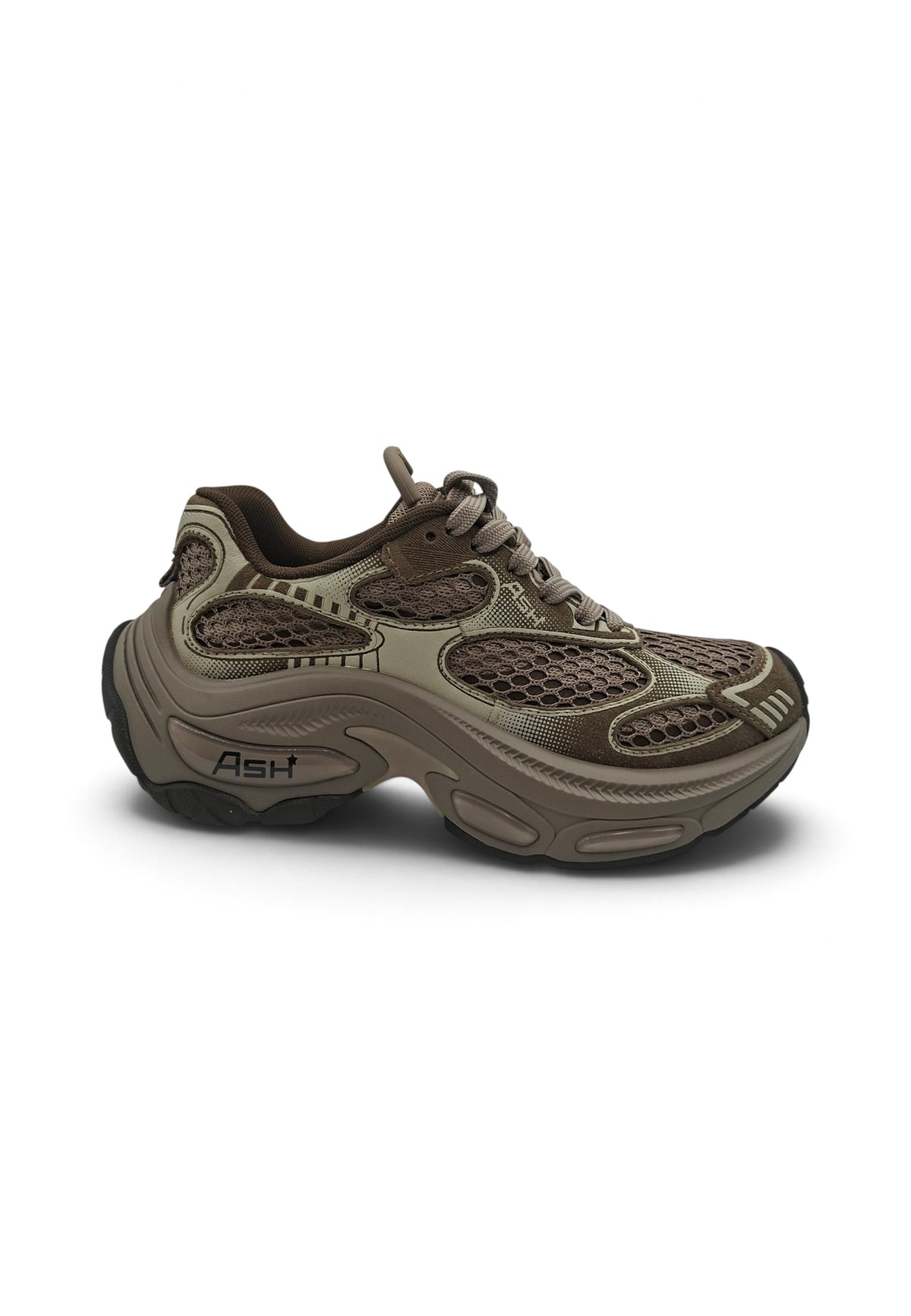 ASH DRAGON SNEAKER MORO