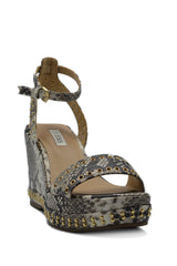 NOLDO